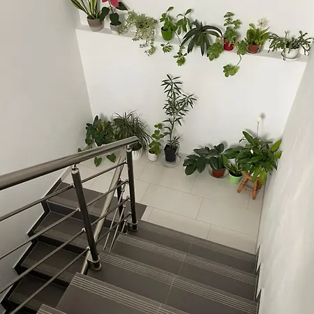 Ansat Opatovska 20 Διαμέρισμα